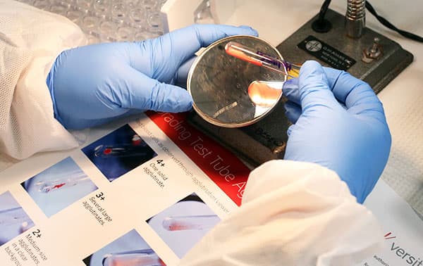 Technician putting samples in a petri dish.