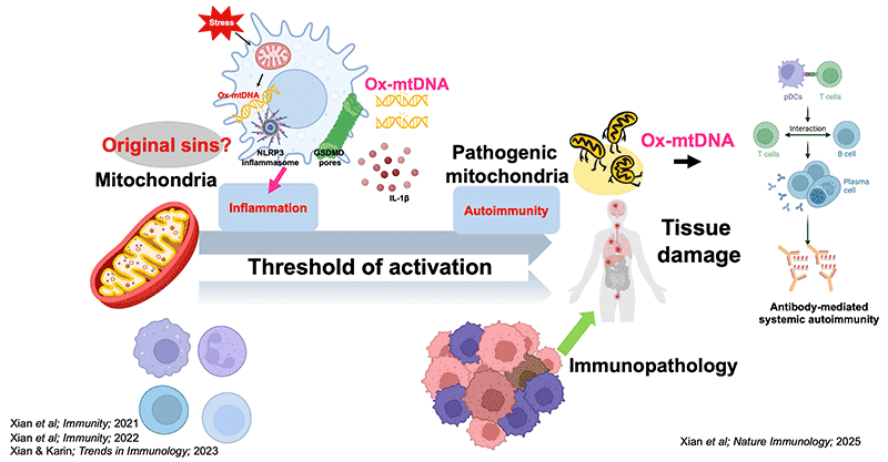 Figure 1 Illustration
