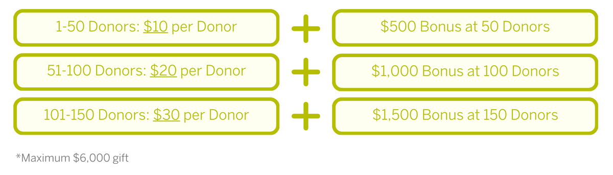 Girl Scouts Program Rewards Chart