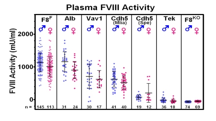 Plasma FVIII Activity Chart