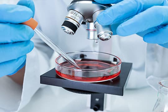 Scientist inspecting a sample under a microscope.